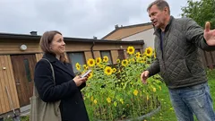 Lyhyt tarina: Taloyhtiö kielsi etupihaltani yhden asian – ja minä luin säännöt tarkemmin