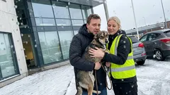 Lyhyt tarina: Astuin eläintaloon koira mukanani – ja huomasin katseet heti