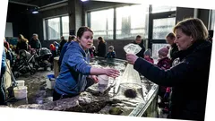 Lyhyt tarina: Kosketusaltaalla näin jotain, mikä sai minut unohtamaan suomalaisen hiljaisuuden