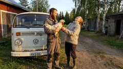 Tarina: Paku piti outoa ääntä aamulla – ja takaluukusta löytyi yllätys