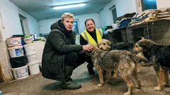 Lyhyt tarina: Hän astui eläinsuojaan ja esitti kysymyksen, johon en ollut valmis