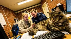 Tarina: Kun nostin eläinsuojan maskotin syliin, koko aula jähmettyi