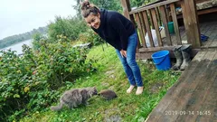 Lyhyttarina: Luulin mökkikesää ihan tavalliseksi, kunnes kissa pysähtyi tuijottamaan pensasta