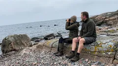 Lyhyt tarina: Turisti vaati minua nostamaan liput – ja meri paljasti syyn