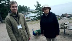 Lyhyt tarina: Korkeasaaressa yksi sana pysäytti kierroksen – enkä nähnyt sitä tulevan