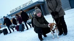 Lyhyt tarina: Lento peruttiin, mutta tiskillä kuiskattiin yhdestä vapaasta paikasta