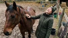 Tositarina: Paloin loppuun Teams-kokouksissa – espoolainen hevonen opetti minulle oudon asian