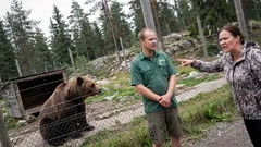 Tarina: Hellepäivä Korkeasaaressa ja pyyntö, jota en ollut valmis kuulemaan